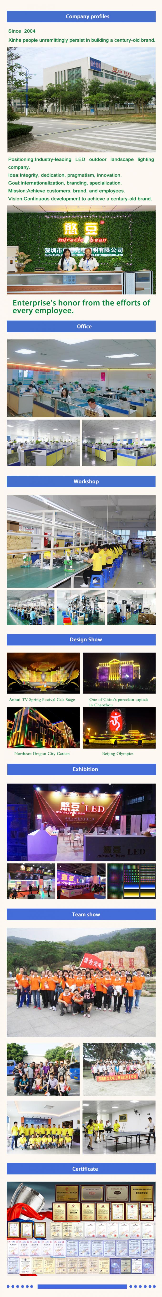 Китай Shenzhen Xinhe Lighting Optoelectronics Co., Ltd. Профиль компании 0