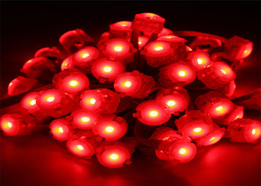 Водоустойчивый пиксел красного цвета 0.25В 20мм привел освещение свет СИД 12 вольт