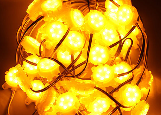 30mm PC Shell Led Pixel Light 6 Pcs SMD2835 In Amusement Lighting Waterproof IP67