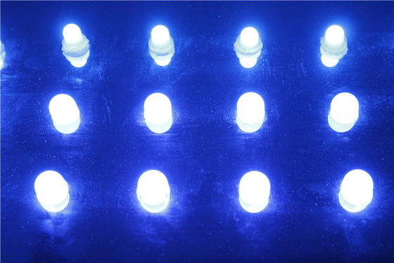 SMD5050 IP67 DC12V 0.3W Single Color Waterproof LED Pixel Light