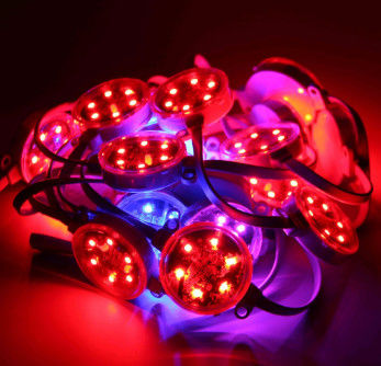 Outdoor 40mm 50mm SMD3535 DMX Digital RGB Led Pixel IP67 Waterproof