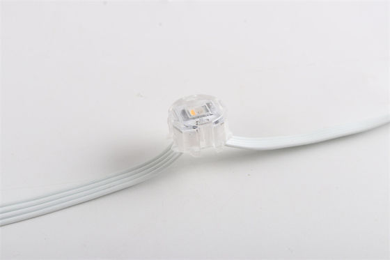 Christmas Outdoor Holiday Lighting SMD5050 LED DC12V 20MMM Light for House eave light Decoration