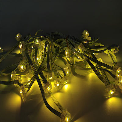 20mm Color Eaves Decorative Light 12V Customizable Upgraded IP67 Waterproof