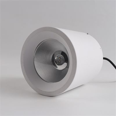 Contemporary LED Down Light 60W Large Caliber Downlights Available With Mall Lighting