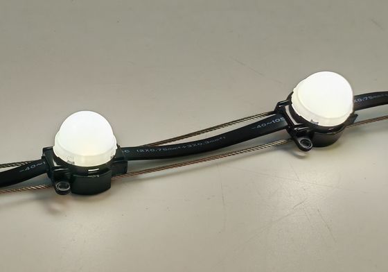 Milky White Housing 30MM LED Point Light Source For Outdoor Landscape Decoration In Park Building