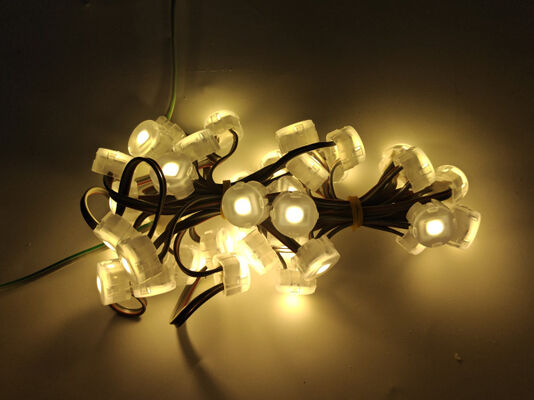 20mm IP67 Waterproof 120 Beam Angle PC Material LED Point Light SMD5050 RGBW