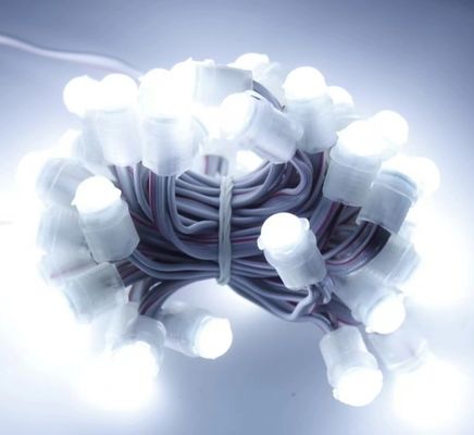 белый светодиодный свет наружного водонепроницаемого 50 Leds DC 12V 9mm Led Pixel String Light