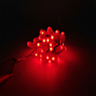 Чудотворный боб LED Рождественские украшения светодиодный точечный свет Одноцветный светодиодный программируемый пиксельный свет