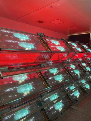 XH-JHP-P6Custom high quality transparent glass full color double sided Transparent glass display LED display transparent