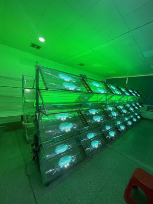 Sticky Flexible Film LED Display Adhesive LED Transparent Film Screen For Glass