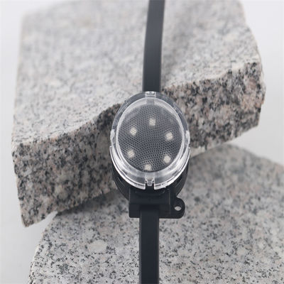 Permanent Outdoor Pixel Lights Twinklight Decorative 24V RGB LED with IP67 Protection