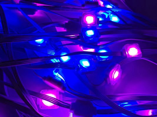 hot selling Multi Color 24v RGBIC remote and wifi Controller Strip pixel lights Led Eaves lights