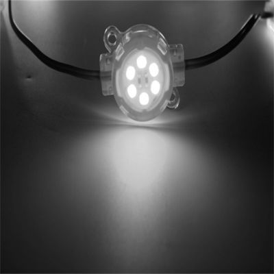 Outdoor Permanent Lights SPI Red Yellow White Point Pixel Led Lights 30mm 6 Leds  With Wholesaler Price