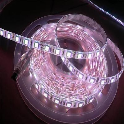 Customize Led Strip 12V 24V SMD 2835 60leds/m 5m/roll LED Strip Light Single Color Indoor Decoration Strip for Night Lighting