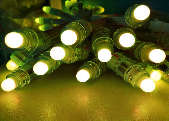 DC12v IP67 12mm Led Pixel String Lights Rgb DMX512 For Holiday Decoration