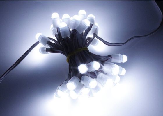 Пиксел пункта СИД фасоли 0.2w 16lm чуда освещает 9mm 12v IP67